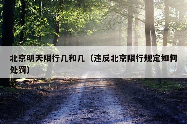 北京明天限行几和几（违反北京限行规定如何处罚）