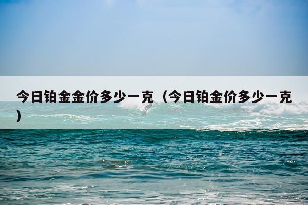 今日铂金金价多少一克（今日铂金价多少一克）