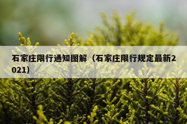 石家庄限行通知图解(石家庄限行规定最新2021)