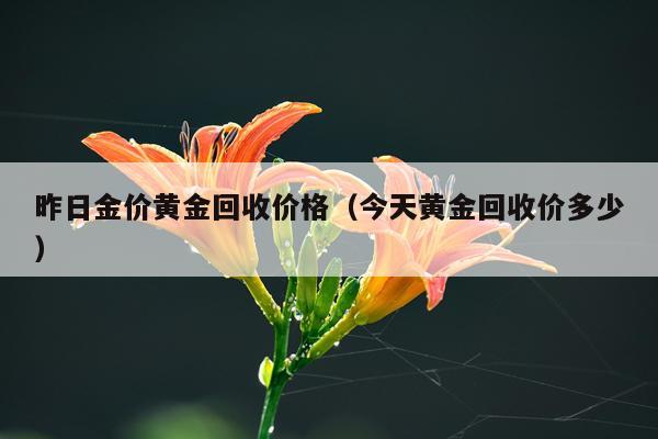 昨日金价黄金回收价格（今天黄金回收价多少）