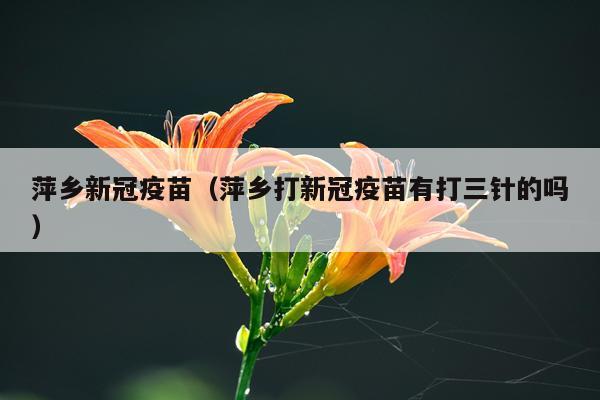 萍乡新冠疫苗（萍乡打新冠疫苗有打三针的吗）