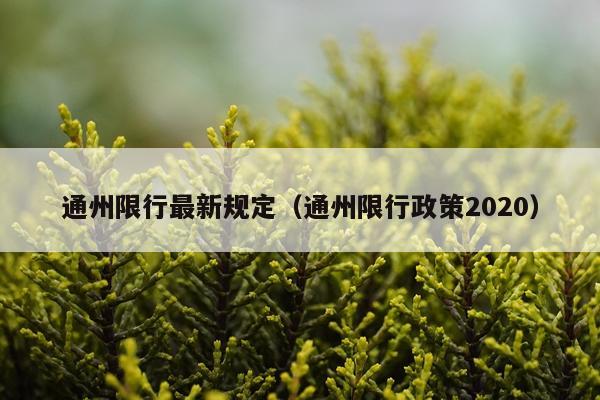 通州限行最新规定（通州限行政策2020）