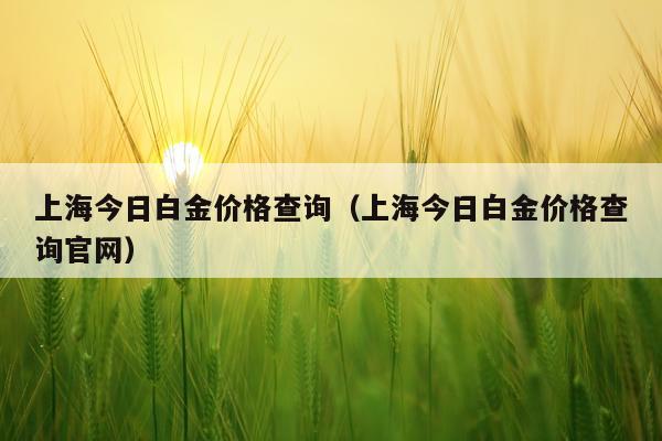 上海今日白金价格查询（上海今日白金价格查询官网）