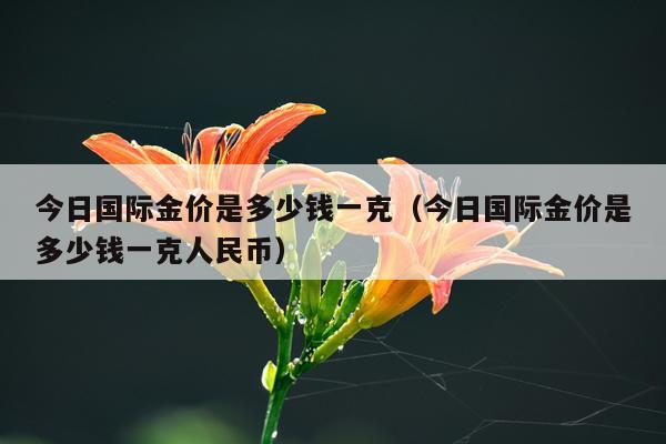 今日国际金价是多少钱一克（今日国际金价是多少钱一克人民币）