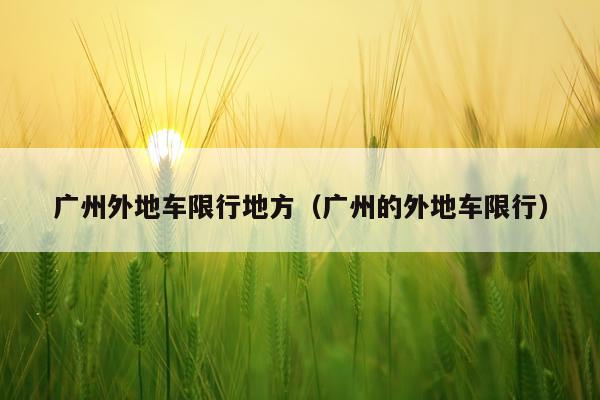 广州外地车限行地方（广州的外地车限行）