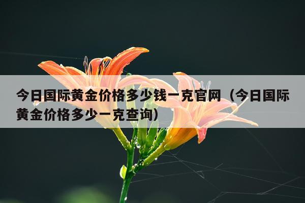 今日国际黄金价格多少钱一克官网（今日国际黄金价格多少一克查询）