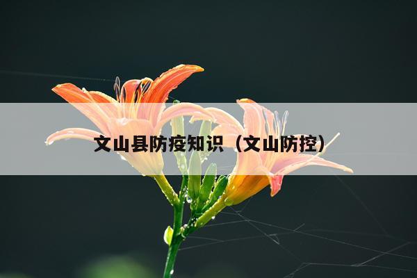文山县防疫知识(文山防控)
