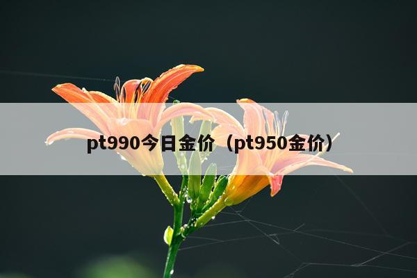 pt990今日金价(pt950金价)