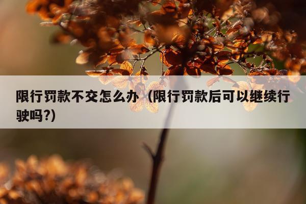 限行罚款不交怎么办（限行罚款后可以继续行驶吗?）