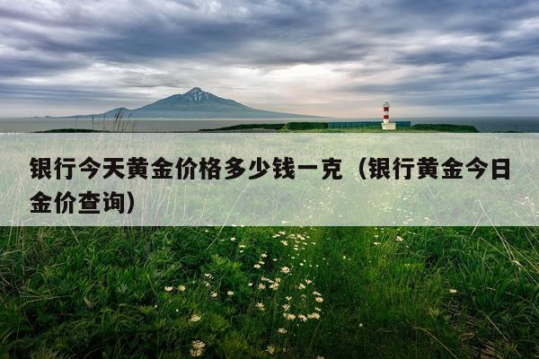 银行今天黄金价格多少钱一克（银行黄金今日金价查询）