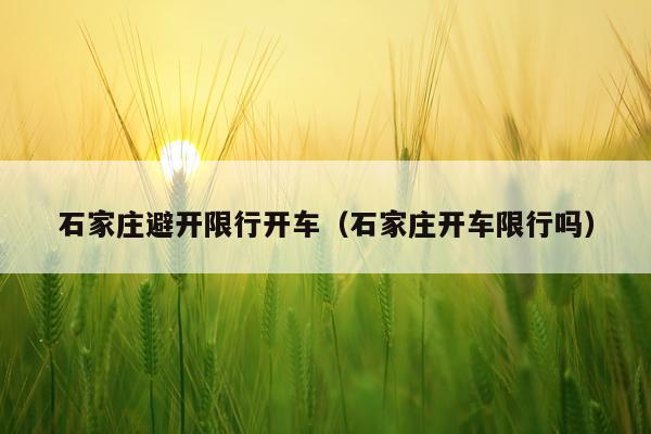 石家庄避开限行开车（石家庄开车限行吗）