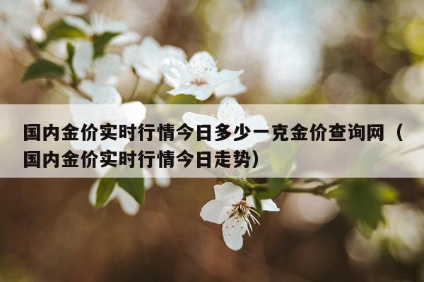 国内金价实时行情今日多少一克金价查询网(国内金价实时行情今日走势)