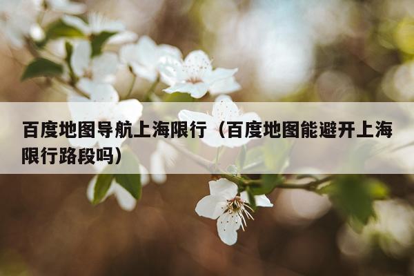 百度地图导航上海限行（百度地图能避开上海限行路段吗）