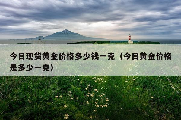 今日现货黄金价格多少钱一克(今日黄金价格是多少一克)