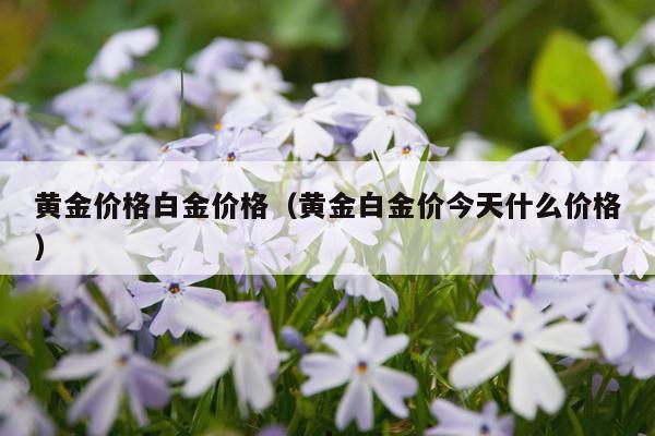 黄金价格白金价格（黄金白金价今天什么价格）