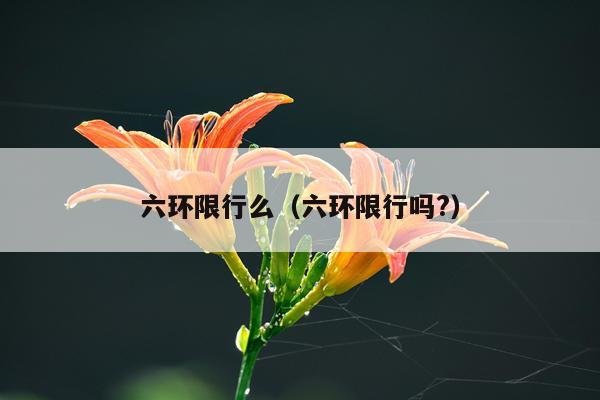 六环限行么（六环限行吗?）