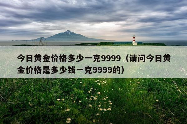 今日黄金价格多少一克9999（请问今日黄金价格是多少钱一克9999的）