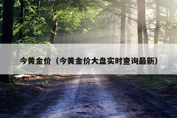 今黄金价（今黄金价大盘实时查询最新）