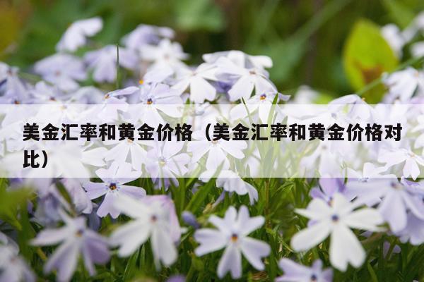 美金汇率和黄金价格（美金汇率和黄金价格对比）