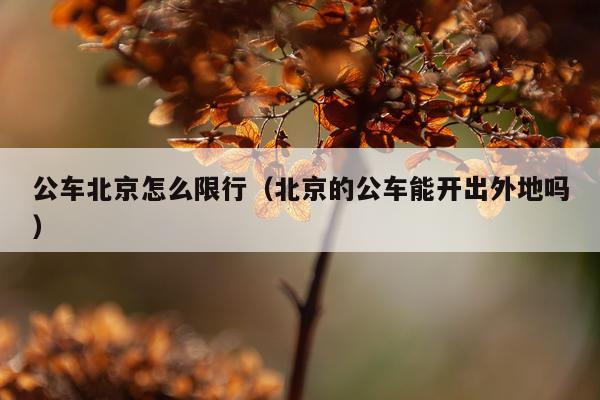 公车北京怎么限行（北京的公车能开出外地吗）