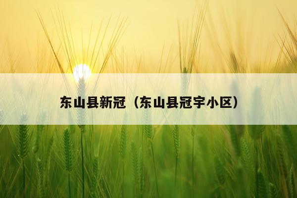 东山县新冠(东山县冠宇小区)