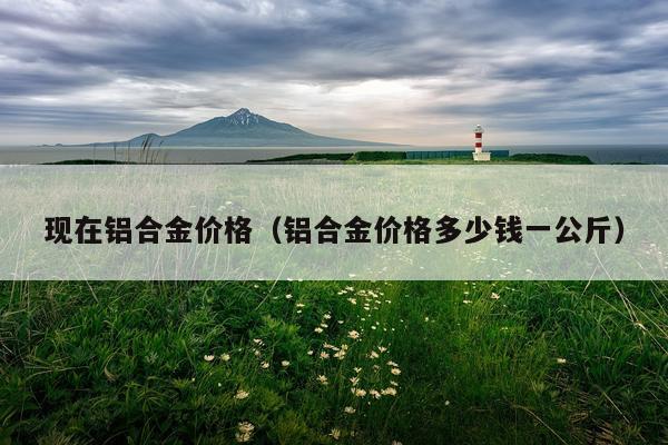 现在铝合金价格(铝合金价格多少钱一公斤)