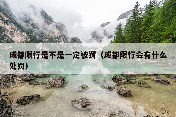 成都限行是不是一定被罚（成都限行会有什么处罚）