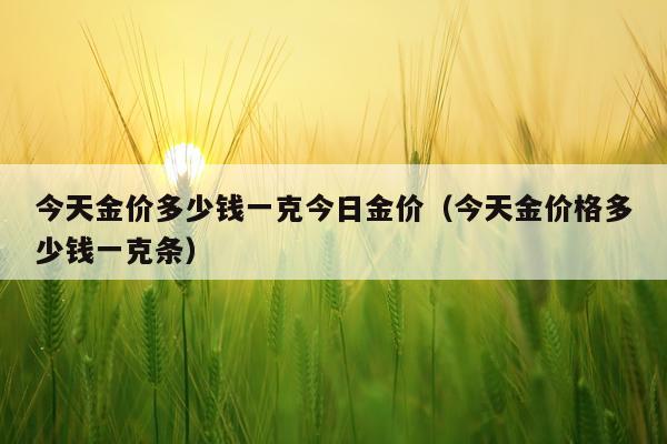 今天金价多少钱一克今日金价(今天金价格多少钱一克条)