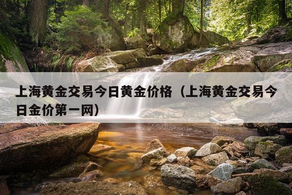 上海黄金交易今日黄金价格（上海黄金交易今日金价第一网）