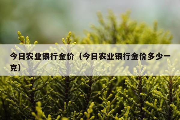 今日农业银行金价(今日农业银行金价多少一克)