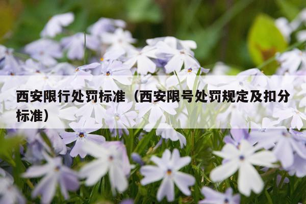 西安限行处罚标准（西安限号处罚规定及扣分标准）