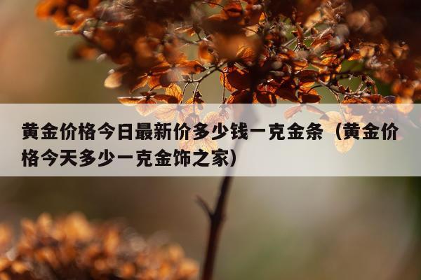 黄金价格今日最新价多少钱一克金条（黄金价格今天多少一克金饰之家）