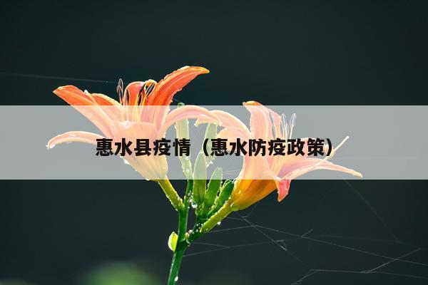 惠水县疫情(惠水防疫政策)