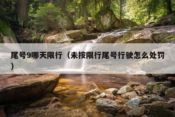 尾号9哪天限行(未按限行尾号行驶怎么处罚)