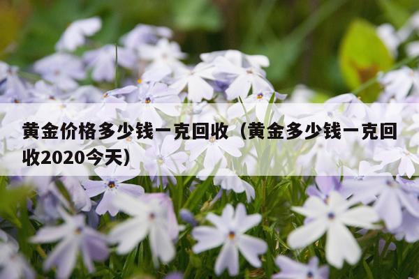 黄金价格多少钱一克回收(黄金多少钱一克回收2020今天)