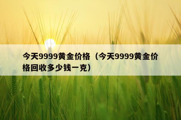 今天9999黄金价格（今天9999黄金价格回收多少钱一克）