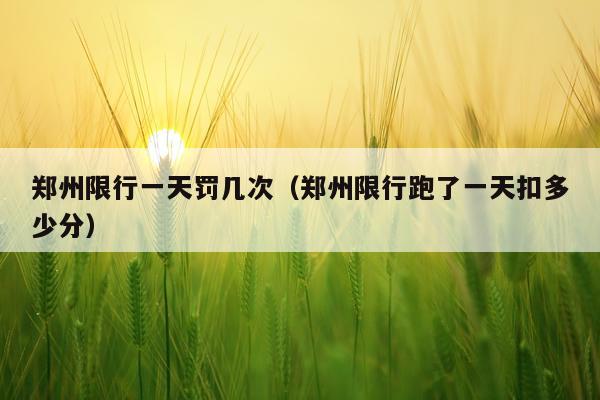 郑州限行一天罚几次（郑州限行跑了一天扣多少分）