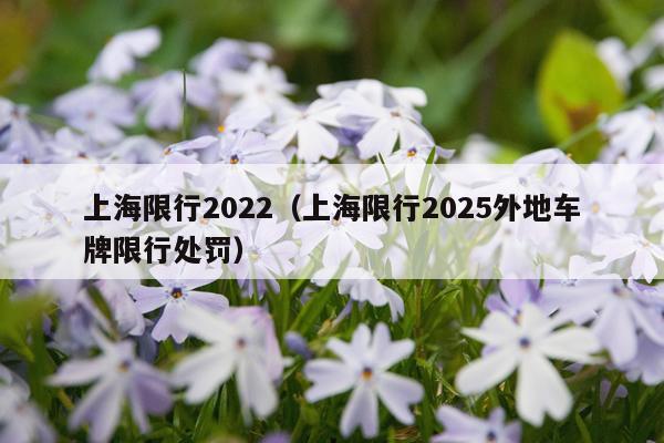 上海限行2022(上海限行2025外地车牌限行处罚)