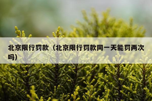北京限行罚款（北京限行罚款同一天能罚两次吗）
