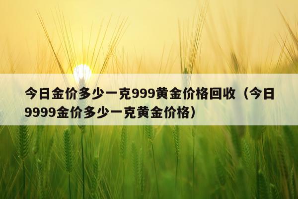 今日金价多少一克999黄金价格回收（今日9999金价多少一克黄金价格）