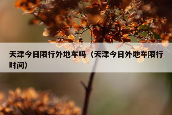 天津今日限行外地车吗（天津今日外地车限行时间）