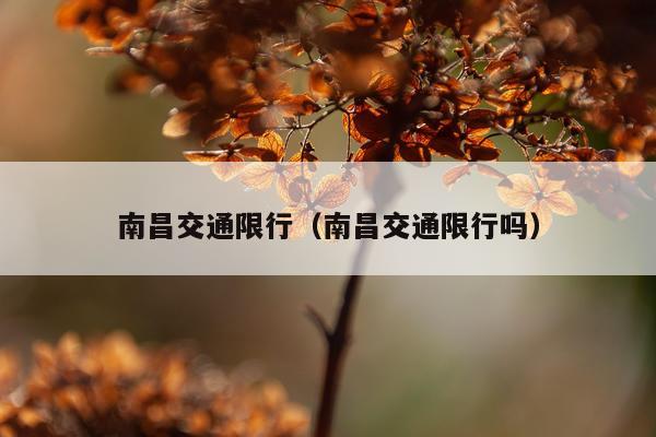 南昌交通限行（南昌交通限行吗）