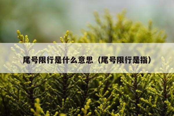 尾号限行是什么意思（尾号限行是指）