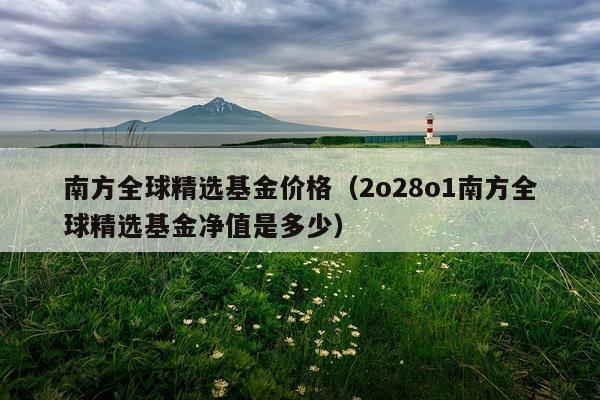 南方全球精选基金价格（2o28o1南方全球精选基金净值是多少）