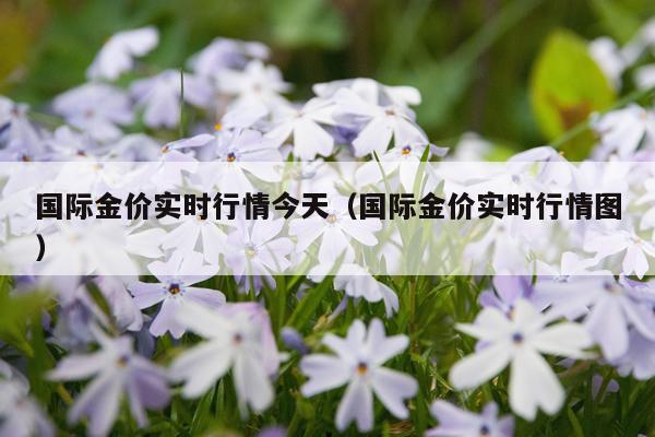 国际金价实时行情今天(国际金价实时行情图)