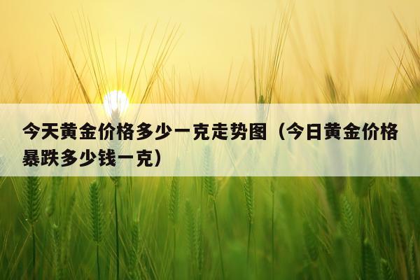 今天黄金价格多少一克走势图（今日黄金价格暴跌多少钱一克）