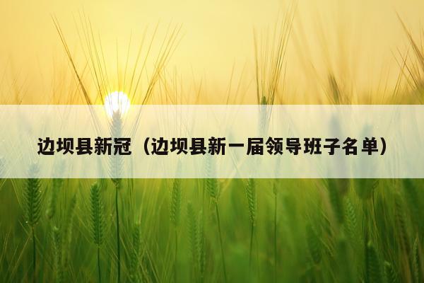 边坝县新冠（边坝县新一届领导班子名单）