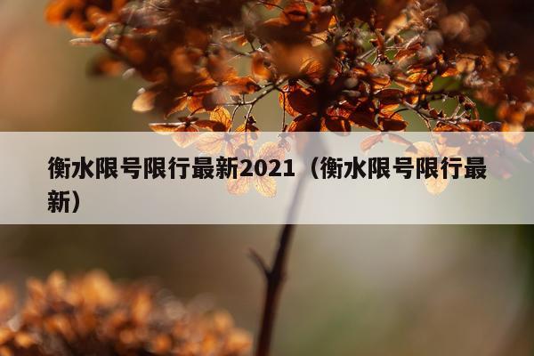 衡水限号限行最新2021（衡水限号限行最新）