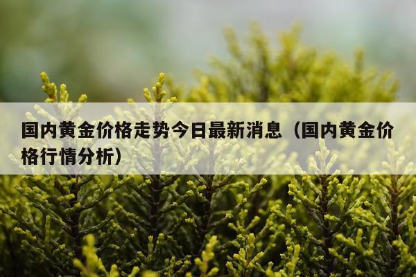 国内黄金价格走势今日最新消息(国内黄金价格行情分析)