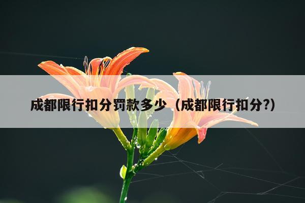 成都限行扣分罚款多少(成都限行扣分?)